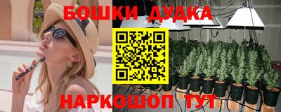 PSILOCYBIN Кулебаки